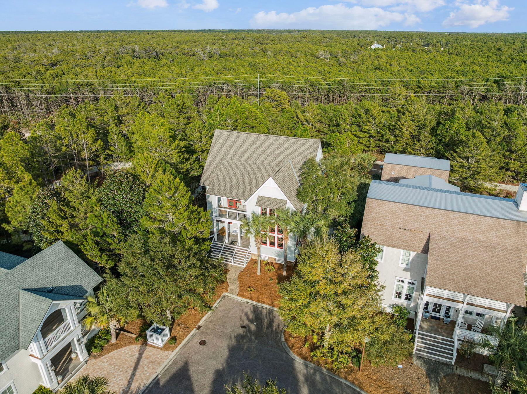 260 Gulf Bridge Lane Watersound, FL 32461 - Photo 14 of 34 Drone