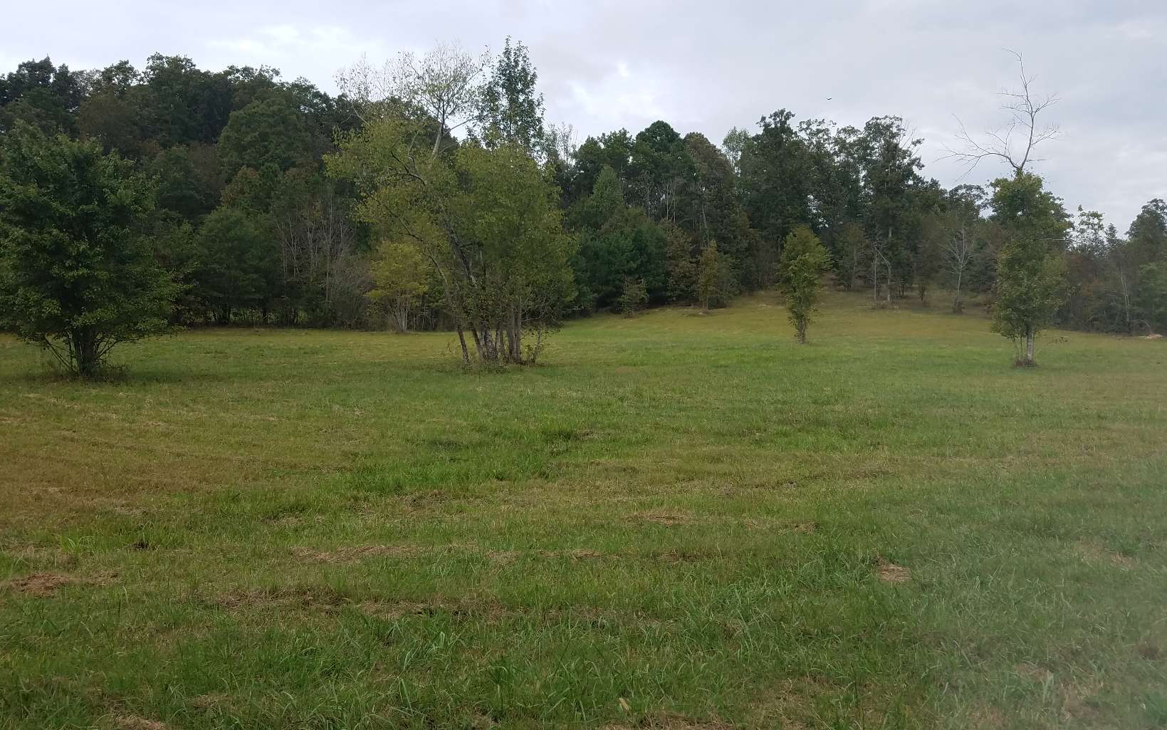 0 Ford Road Resaca, GA 30735 - Photo 1 of 1 a view of field with trees in background