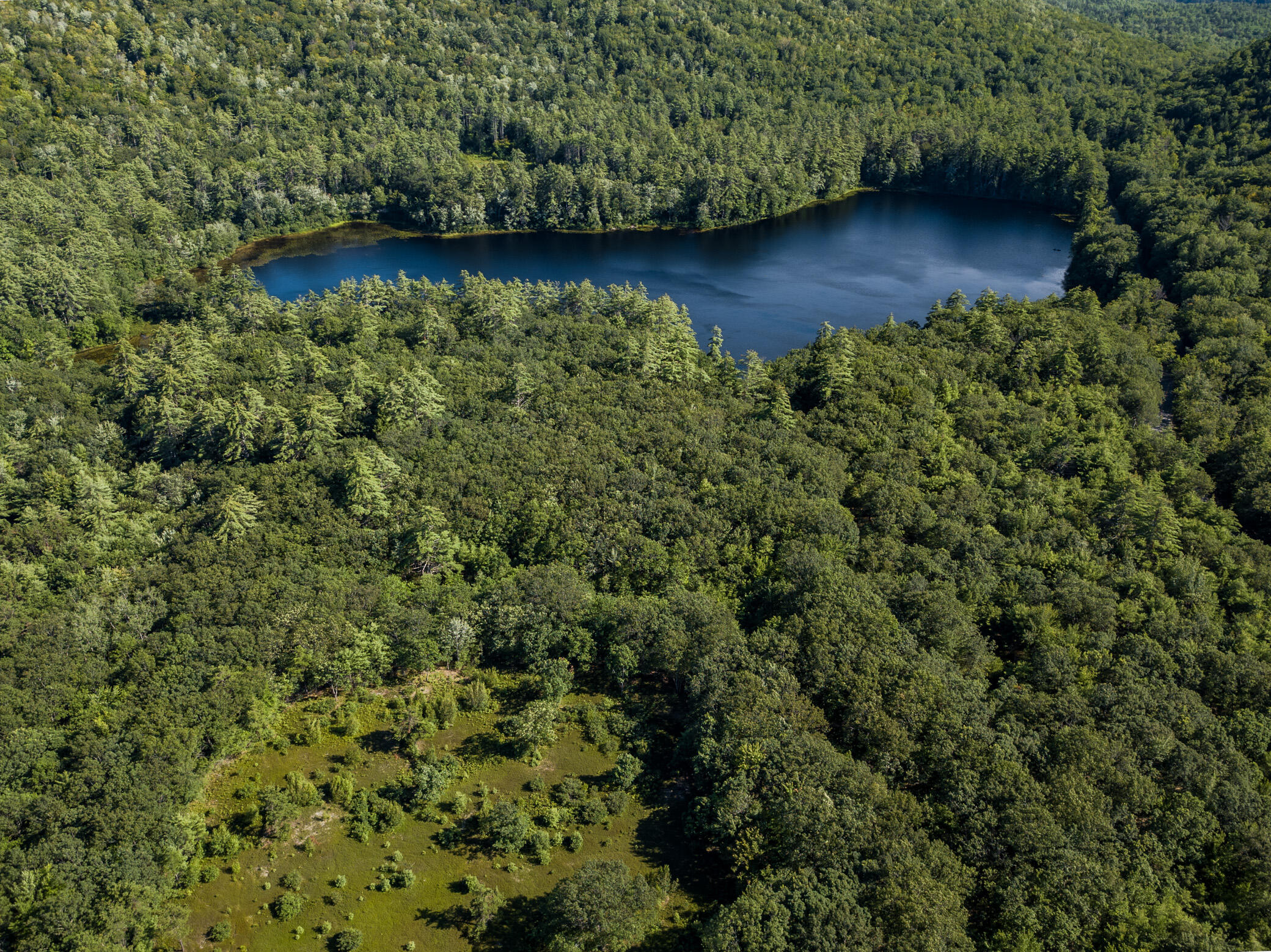 0 Brownfield Road Hiram, ME 04041 - Photo 6 of 19 EDIT (13 of 21)