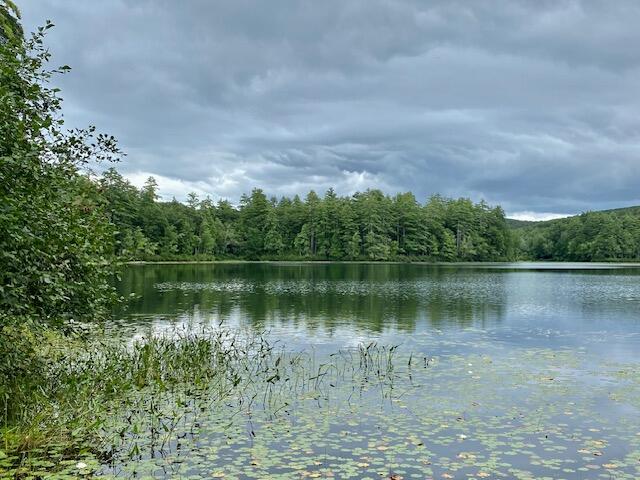 0 Brownfield Road Hiram, ME 04041 - Photo 8 of 19 IMG_8655