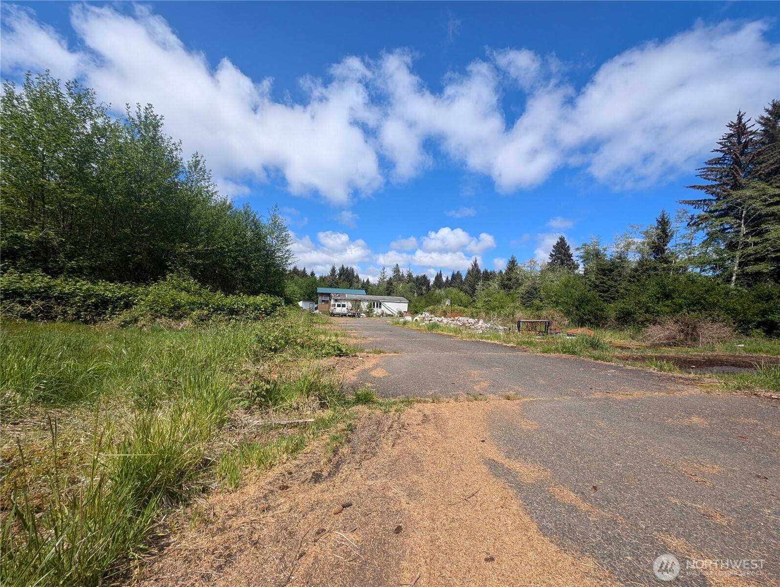 a view of a big yard with large trees