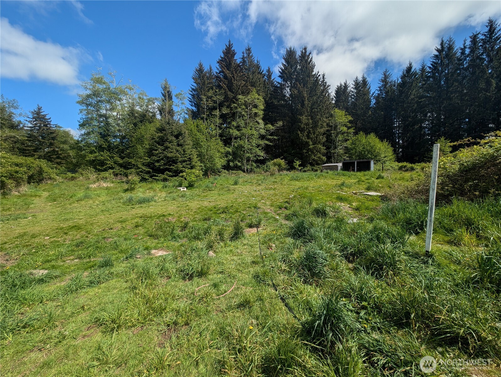235 Delta Wing Drive Forks, WA 98331 - Photo 12 of 40 a view of a lush green space