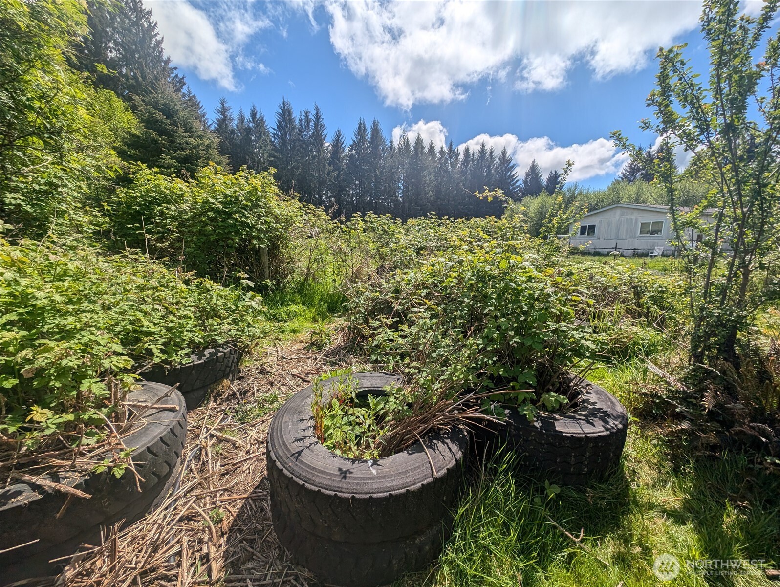 235 Delta Wing Drive Forks, WA 98331 - Photo 16 of 40 a view of a garden with a fountain