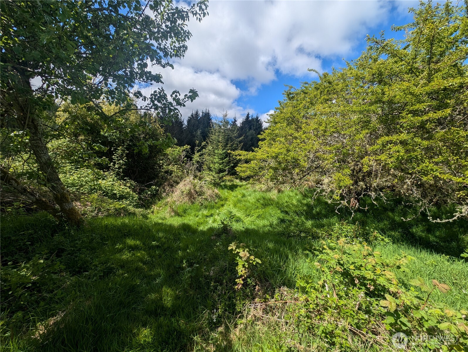 235 Delta Wing Drive Forks, WA 98331 - Photo 17 of 40 a view of a garden