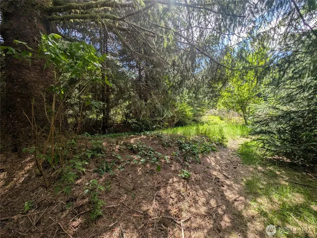 a view of outdoor space and trees