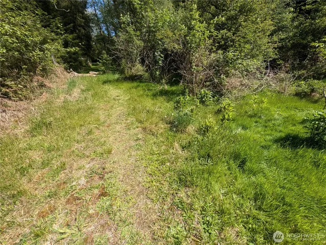 a view of a yard with a tree