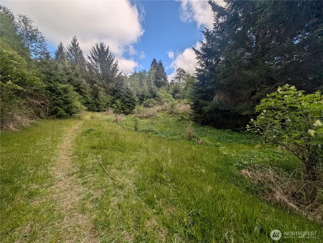 a view of outdoor space and trees all around