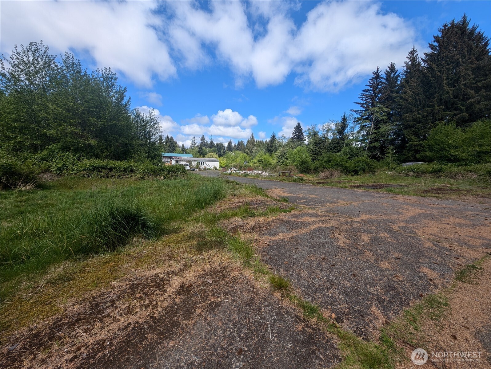 235 Delta Wing Drive Forks, WA 98331 - Photo 38 of 40 a view of a field with trees in background
