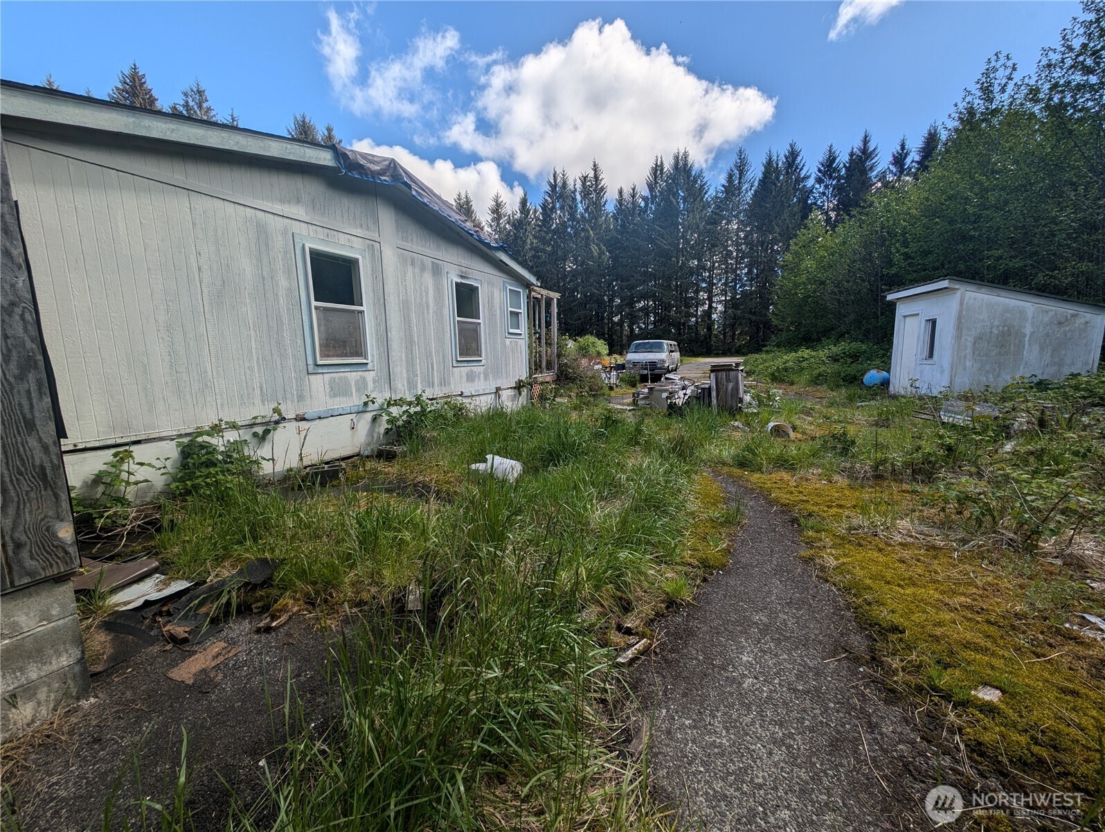 235 Delta Wing Drive Forks, WA 98331 - Photo 6 of 40 a backyard of a house with lots of green space