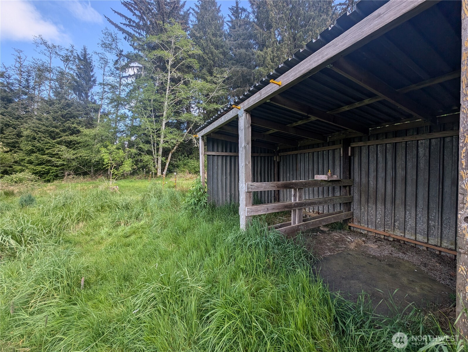 235 Delta Wing Drive Forks, WA 98331 - Photo 8 of 40 a view of backyard with green space