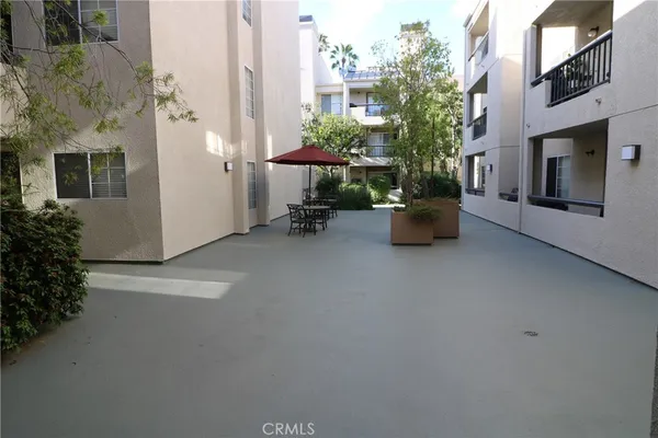 an outdoor space with plants