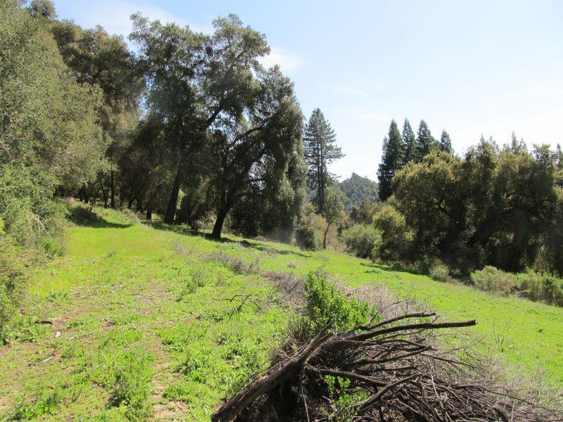 0 Two Two Bar Road Boulder Creek, CA 95006 - Photo 6 of 70 Gallery Image 6