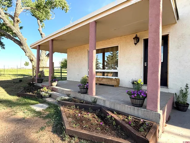 a room with table and chairs potted plants with wooden floor