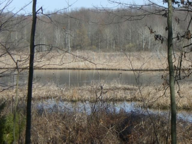 2 6 6 Mile Road Battle Creek, MI 49017 - Photo 8 of 10
