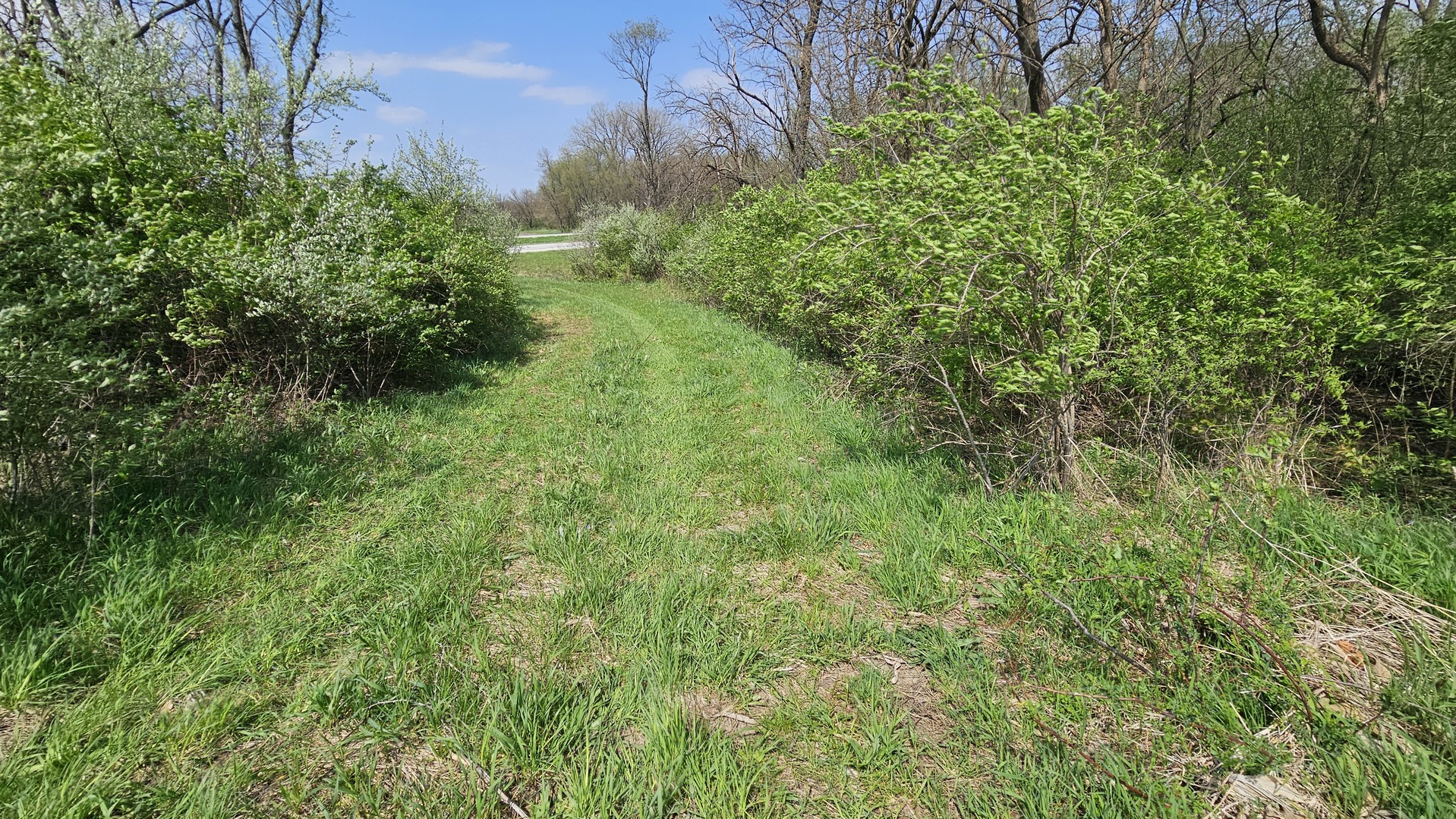 0 South Rt 53 Elwood, IL 60421 - Photo 5 of 9 a view of a garden