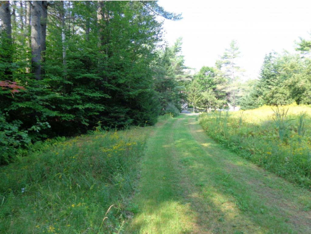 41 Meadow Brook Road New London, NH 03257 - Photo 3 of 12