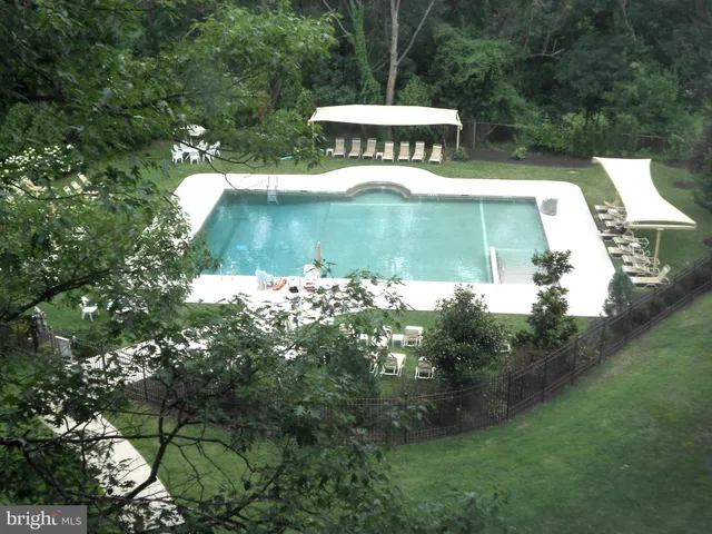 a view of a park with large trees