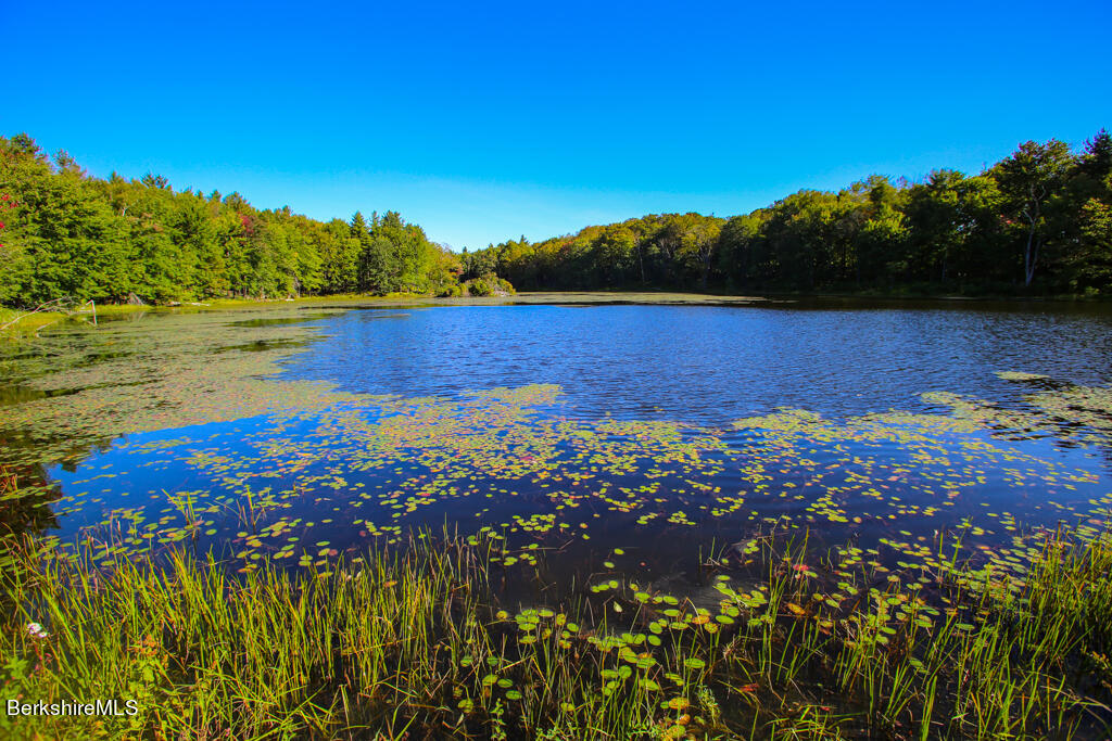 336 Kinne Brook Road Worthington, MA 01098 - Photo 41 of 43 1I9A4247
