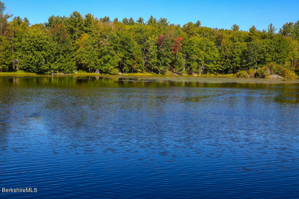 336 Kinne Brook Road Worthington, MA 01098 - Photo 42 of 43 AS9A4515