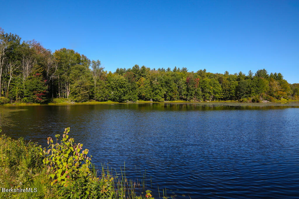 336 Kinne Brook Road Worthington, MA 01098 - Photo 7 of 43 AS9A4514
