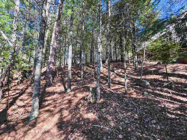 $272,000 | East Wheeler Lane, Lakewood, WI 54138