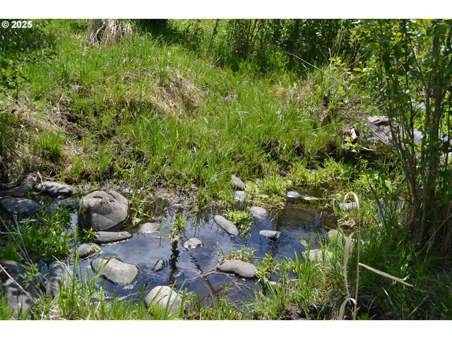 $32,950 | Chief Joseph Way, Imnaha, OR 97842