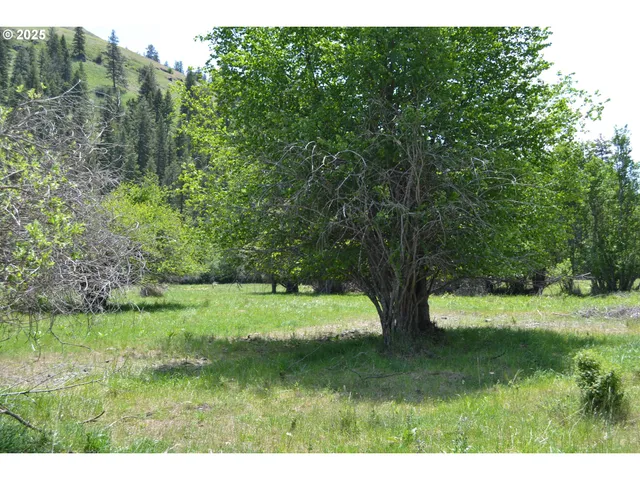 $32,950 | Chief Joseph Way, Imnaha, OR 97842