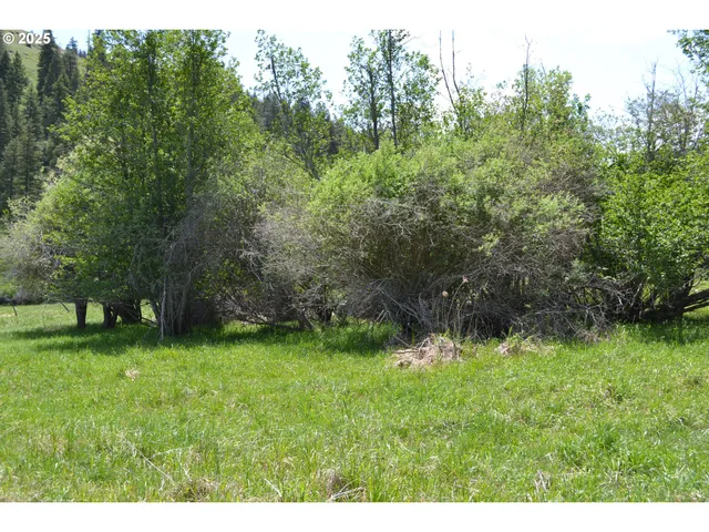 $32,950 | Chief Joseph Way, Imnaha, OR 97842