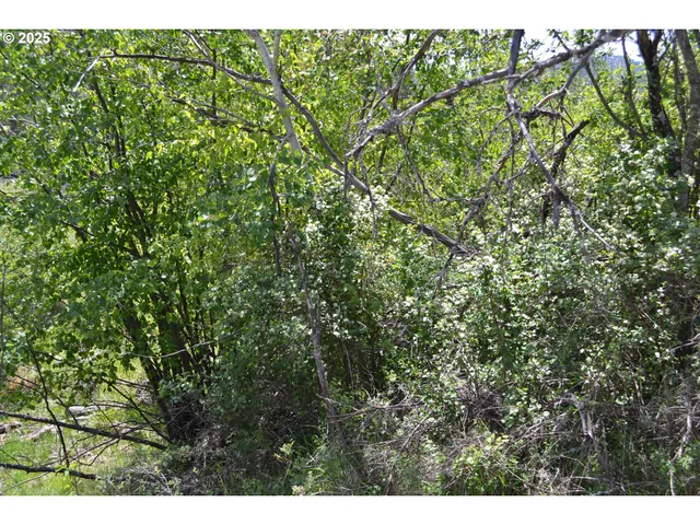 $32,950 | Chief Joseph Way, Imnaha, OR 97842