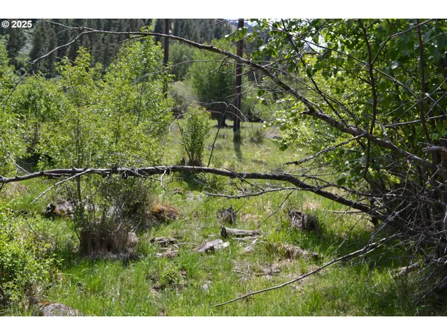 $32,950 | Chief Joseph Way, Imnaha, OR 97842