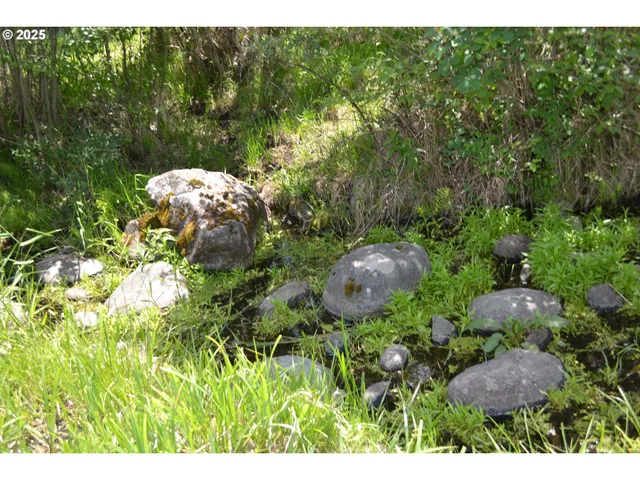 $32,950 | Chief Joseph Way, Imnaha, OR 97842