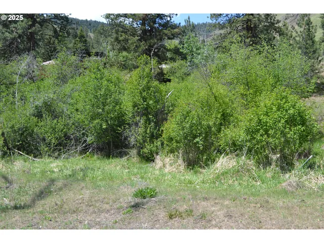 $32,950 | Chief Joseph Way, Imnaha, OR 97842