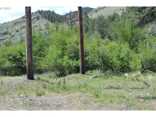 $32,950 | Chief Joseph Way, Imnaha, OR 97842