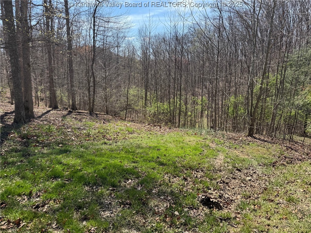 277 Morgan Carr Road Wallback, WV 25285 - Photo 31 of 41 Gallery Image 31