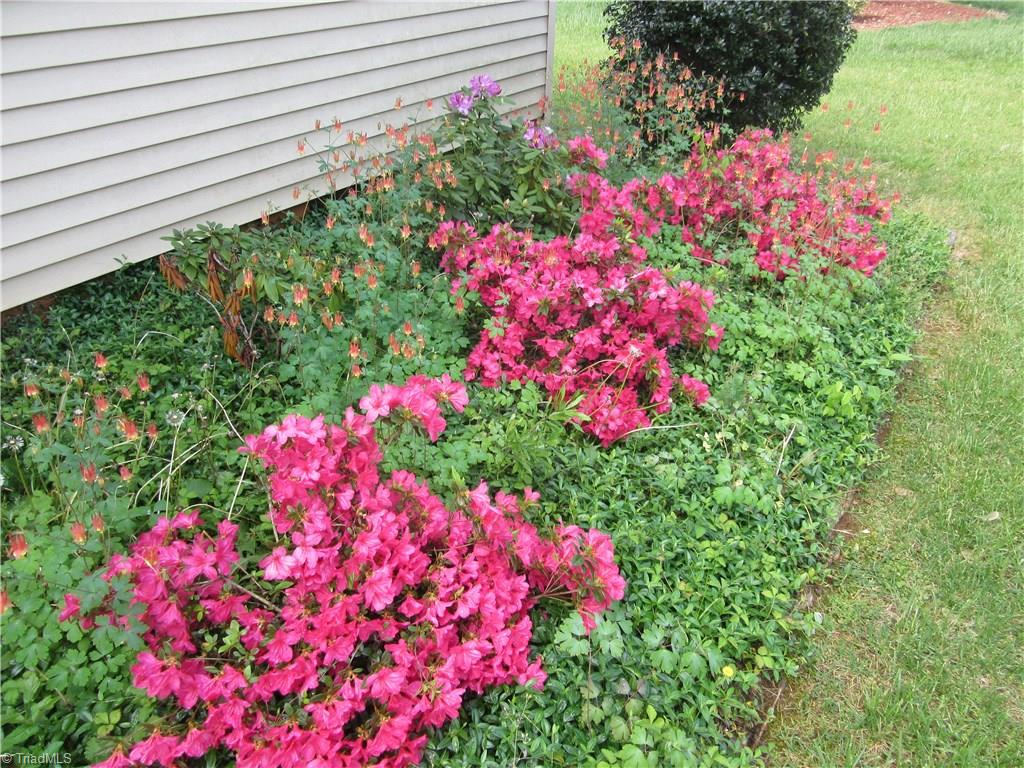 128 Raintree Road Advance, NC 27006 - Photo 22 of 29 Gallery Image 22