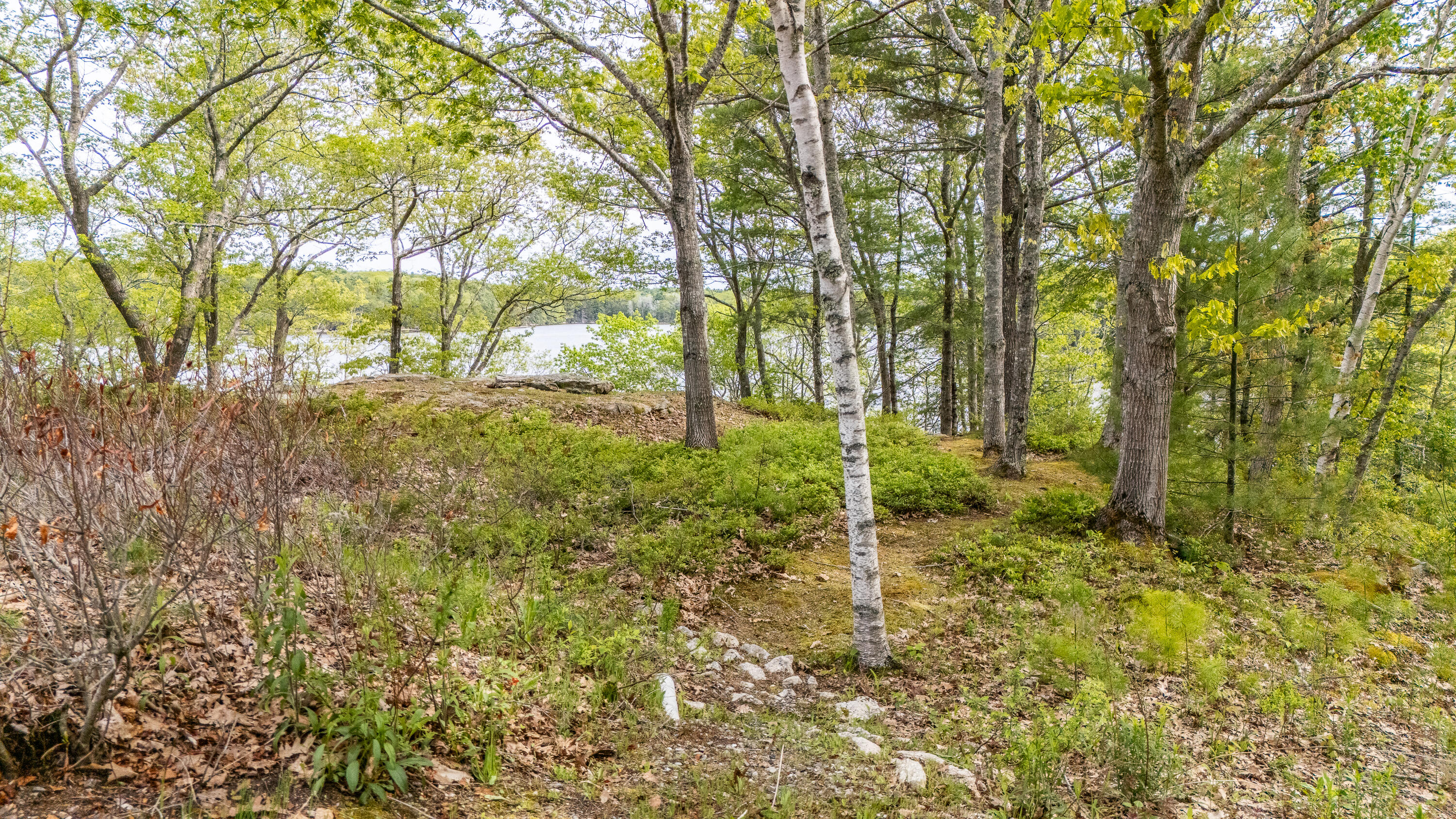 105 Mill Island Road Arrowsic, ME 04530 - Photo 215 of 221 105 Mill Island Road 068