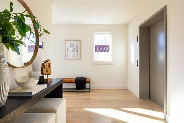 a room with wooden floor and a potted plant