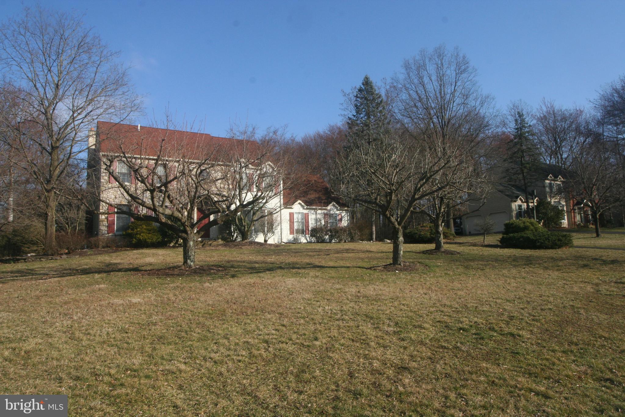 a view of large trees with a big yard