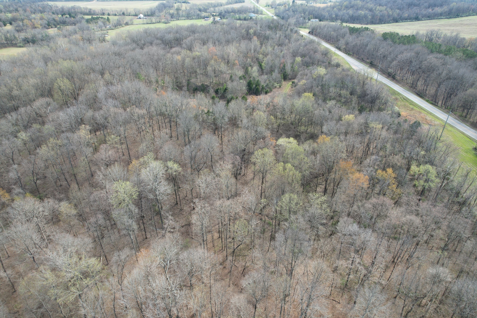 Il Highway Highway 145 Road Metropolis, IL 62960 - Photo 1 of 25