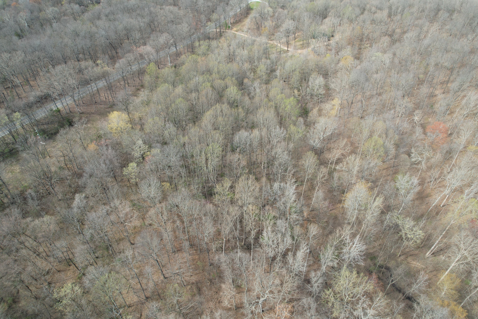 Il Highway Highway 145 Road Metropolis, IL 62960 - Photo 11 of 25