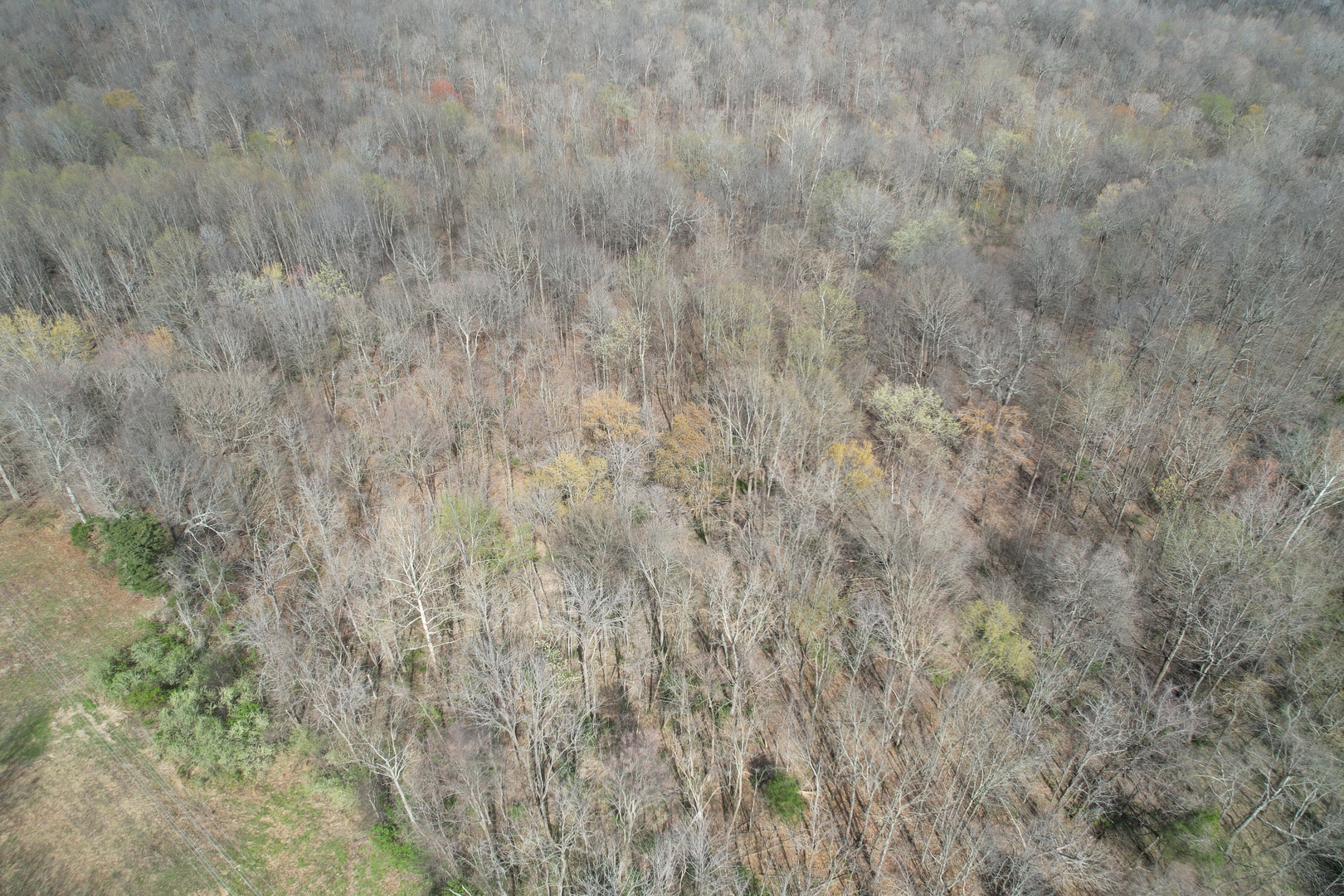 Il Highway Highway 145 Road Metropolis, IL 62960 - Photo 12 of 25
