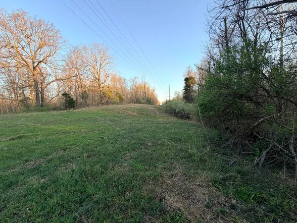 a view of a grassy field with trees in the background