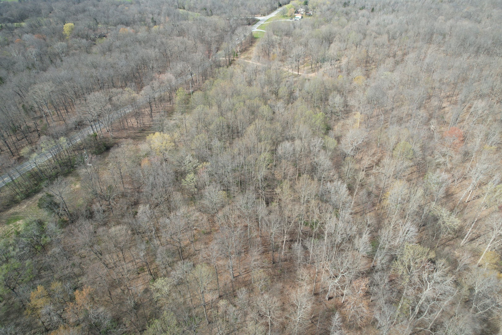 Il Highway Highway 145 Road Metropolis, IL 62960 - Photo 14 of 25