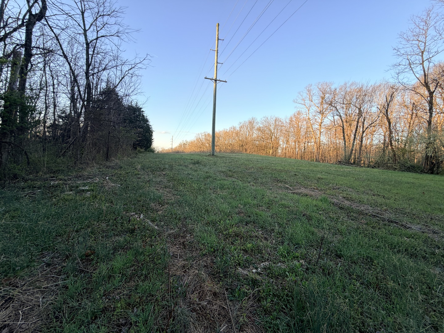 Il Highway Highway 145 Road Metropolis, IL 62960 - Photo 15 of 25