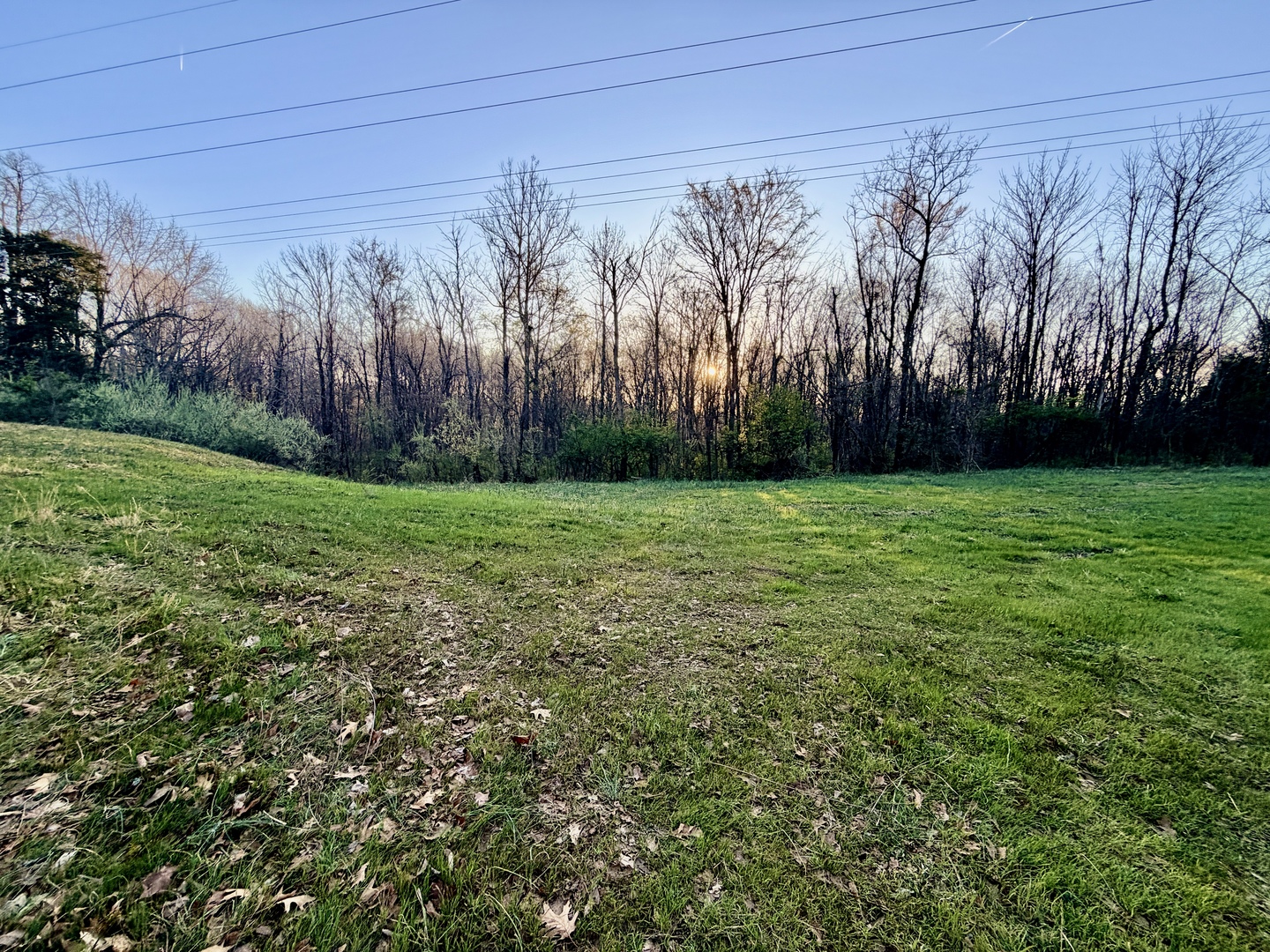Il Highway Highway 145 Road Metropolis, IL 62960 - Photo 19 of 25
