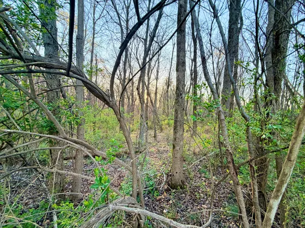 $69,900 | Il Highway Highway 145 Road, Metropolis, IL 62960