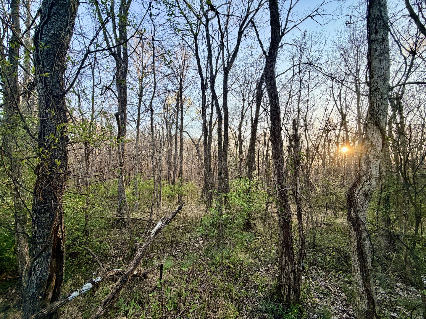 Il Highway Highway 145 Road Metropolis, IL 62960 - Photo 22 of 25