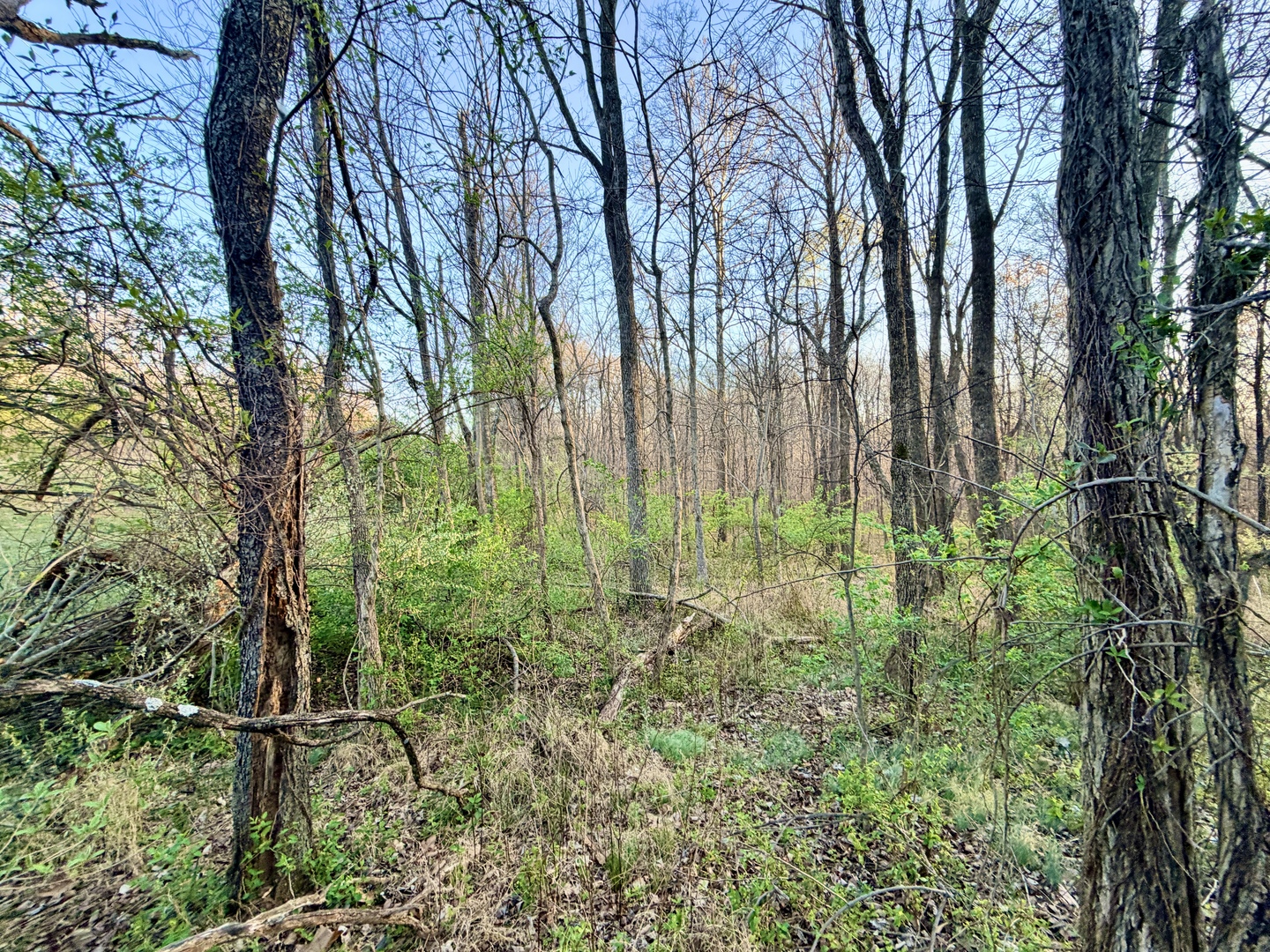 Il Highway Highway 145 Road Metropolis, IL 62960 - Photo 25 of 25