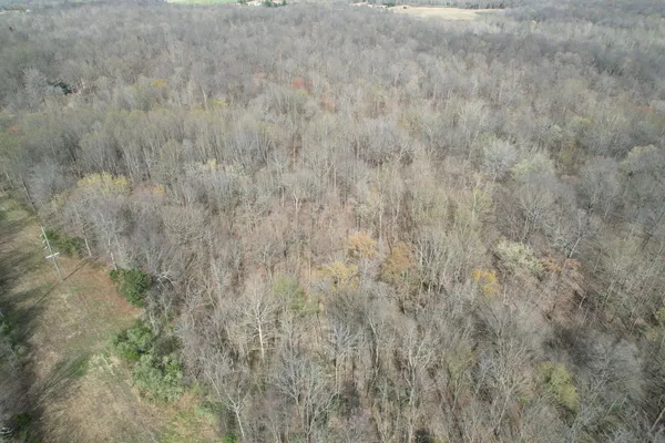 a view of a dry yard