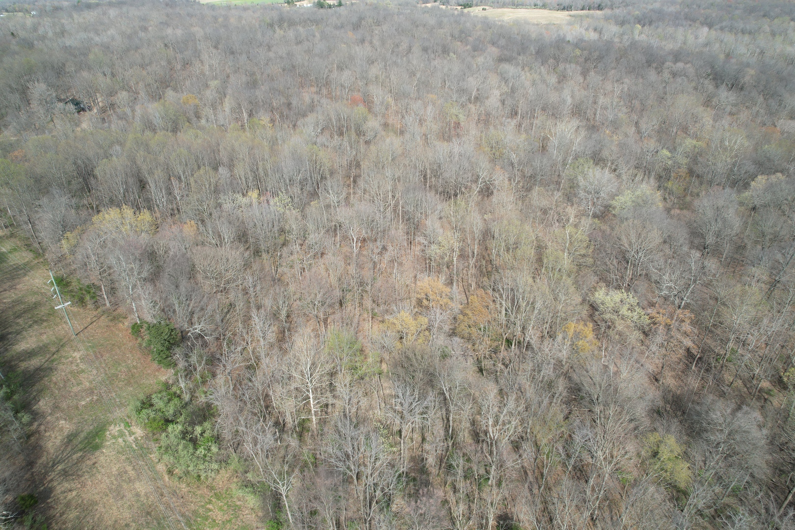 Il Highway Highway 145 Road Metropolis, IL 62960 - Photo 4 of 25